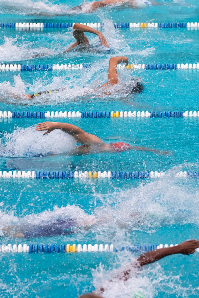 a photo of swimmers in lanes in a competition pool